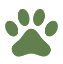 Green paw print on black background.